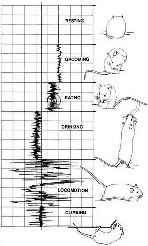 Transducer signals vs. behaviors